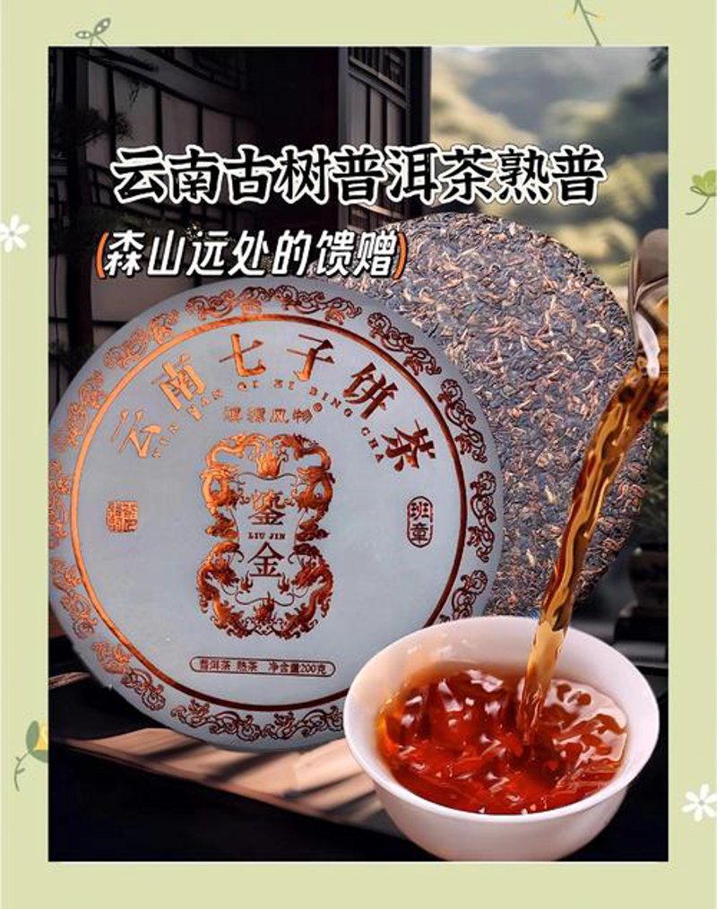 古树茶