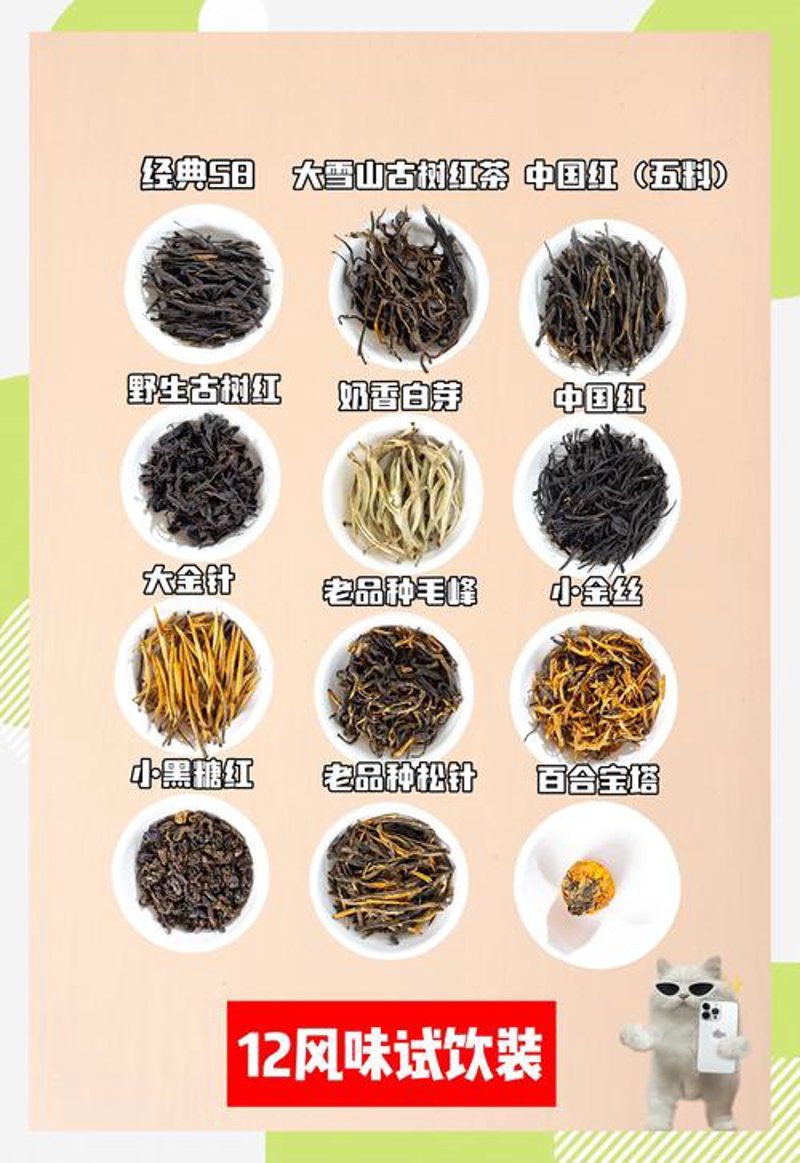 云南普洱茶：从山野到茶桌的时光之旅